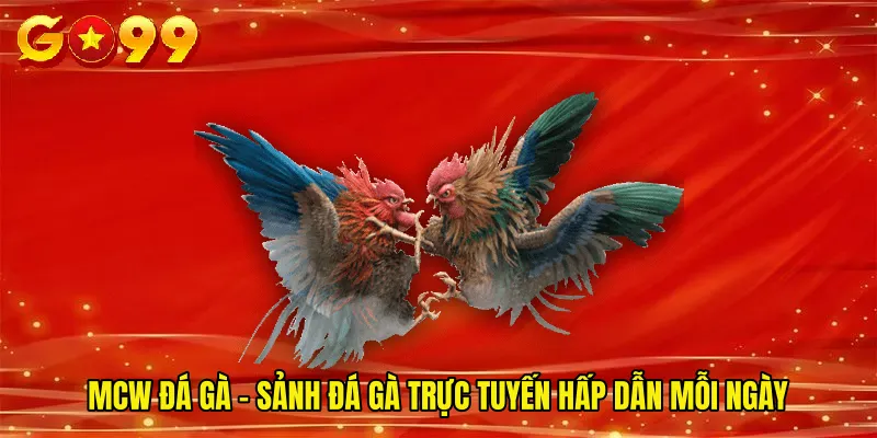 Mcw Đá Gà - Sảnh Đá Gà Trực Tuyến Hấp Dẫn Mỗi Ngày